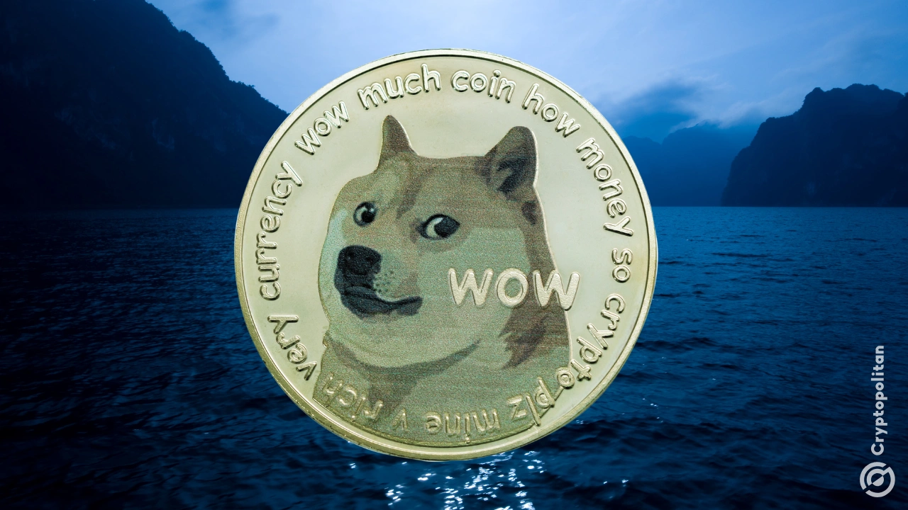 Dogcoin鲸鱼消失，交易下降了88％