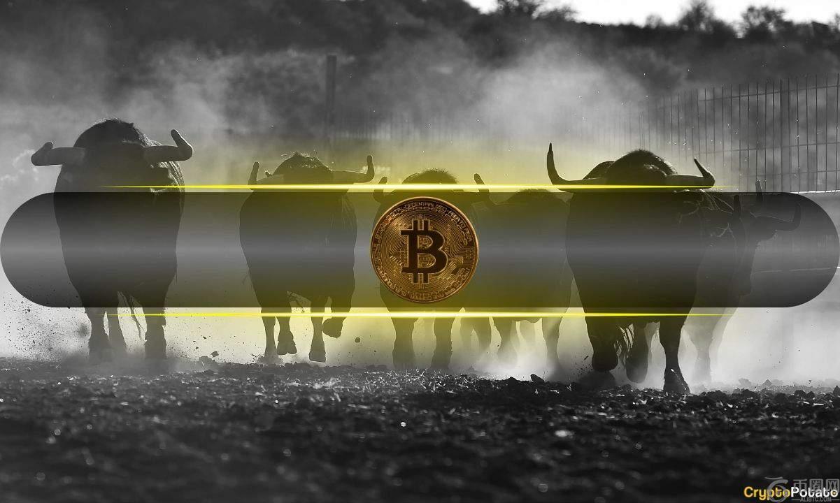 在未来一周的3个看涨比特币价格的标志