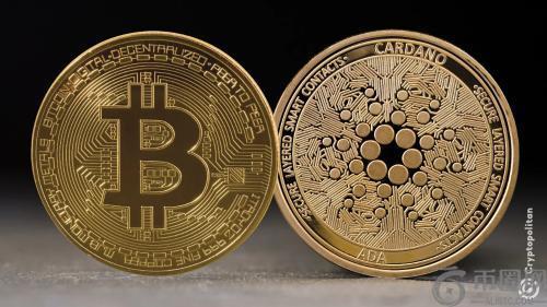 Farcastr联合创始人Dan Romro预测美国政府加密储备将仅保留没收资产，不会新增购买