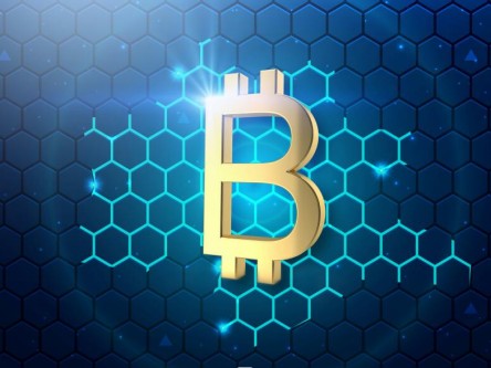 安币付款必须注意PaymntID