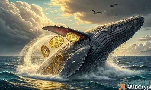 比特币价格走势：鲸鱼积累是否预示新一轮牛市？