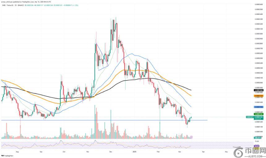 SHIB-USD价格图表显示2024年11月至12月峰值后的下跌趋势和近期盘整