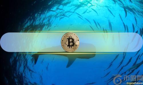 比特币巨鲸大举增持，一个月内购入20万枚BTC