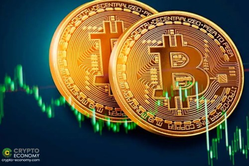 KAIBA币未来发展前景及价值分析-第2张图片-欧意下载