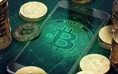 深入剖析TROY币是否能实现万倍涨幅-第2张图片-欧意下载