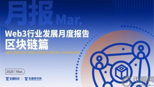 2025年3月Wb3行业深度观察：政策红利减弱，投融资市场分化加剧