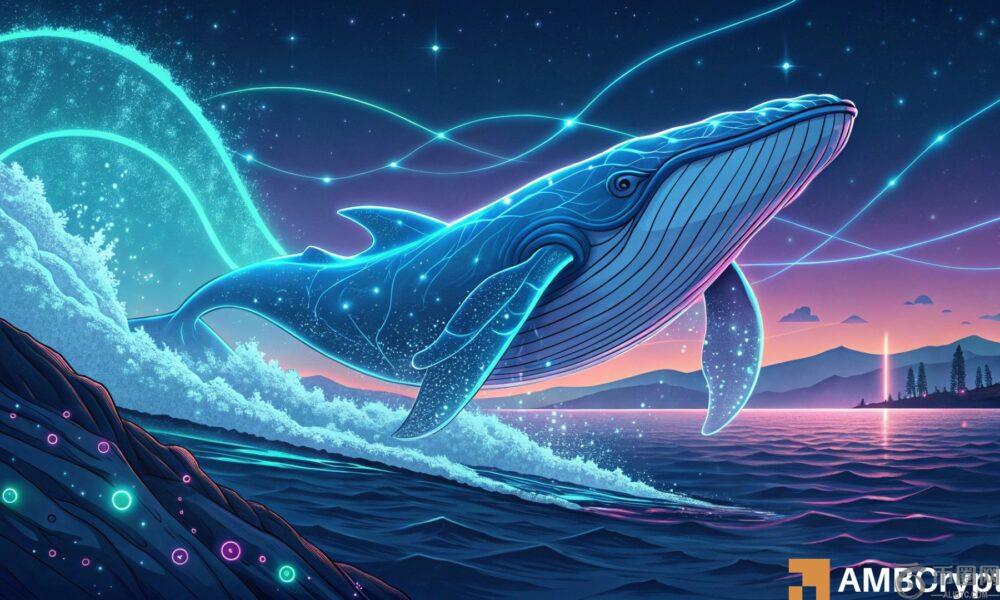 TRON：鲸鱼抛售 2.31 亿 TR – 0.30 美元的反弹是否仍可能实现？