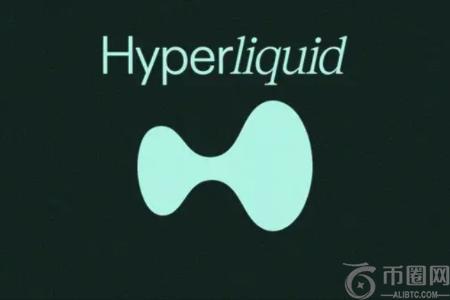 Hyprliquid如何在质疑声中逆势崛起？HYP突破30美元背后的深层原因