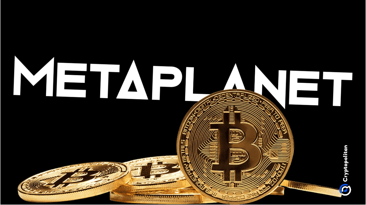 Mtaplant 成为寻求比特币投资和税收优势的日本投资者的首选