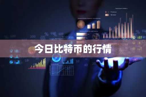 泰达币价格波动稳定如何赚钱_泰达币补仓