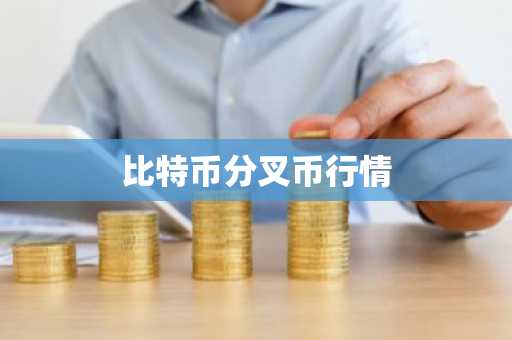usdt官方下载_usdt钱包地址在哪里找到V6.4.86