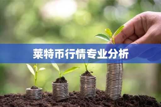 购买usdt的平台_新加坡比特币交易平台有哪些