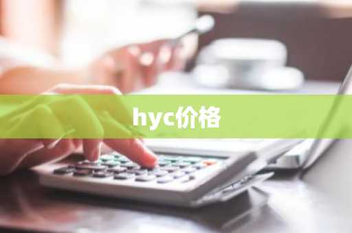 B91币适合长期持有吗？