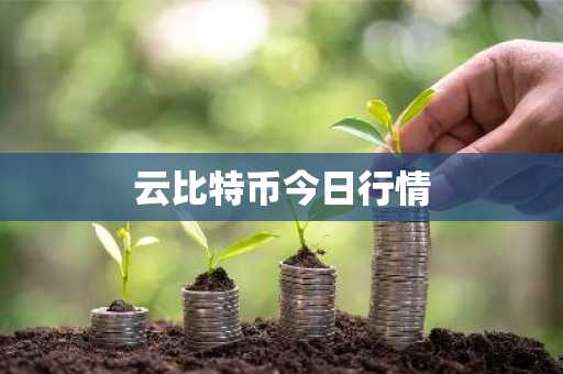 比特币最贵的时候是多少美元 一枚比特币=多少美元