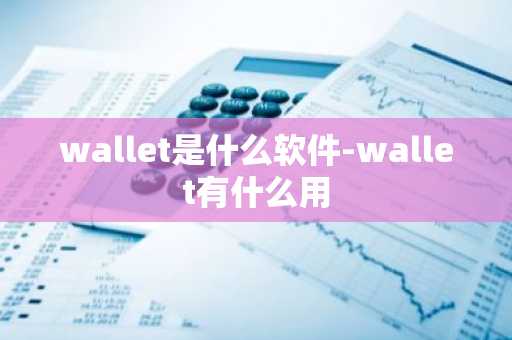 中本聪币官网手机版 中本聪安币卓app软件中心